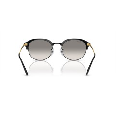 Ray-Ban RB 4429 - 672332 Noir Sur Or