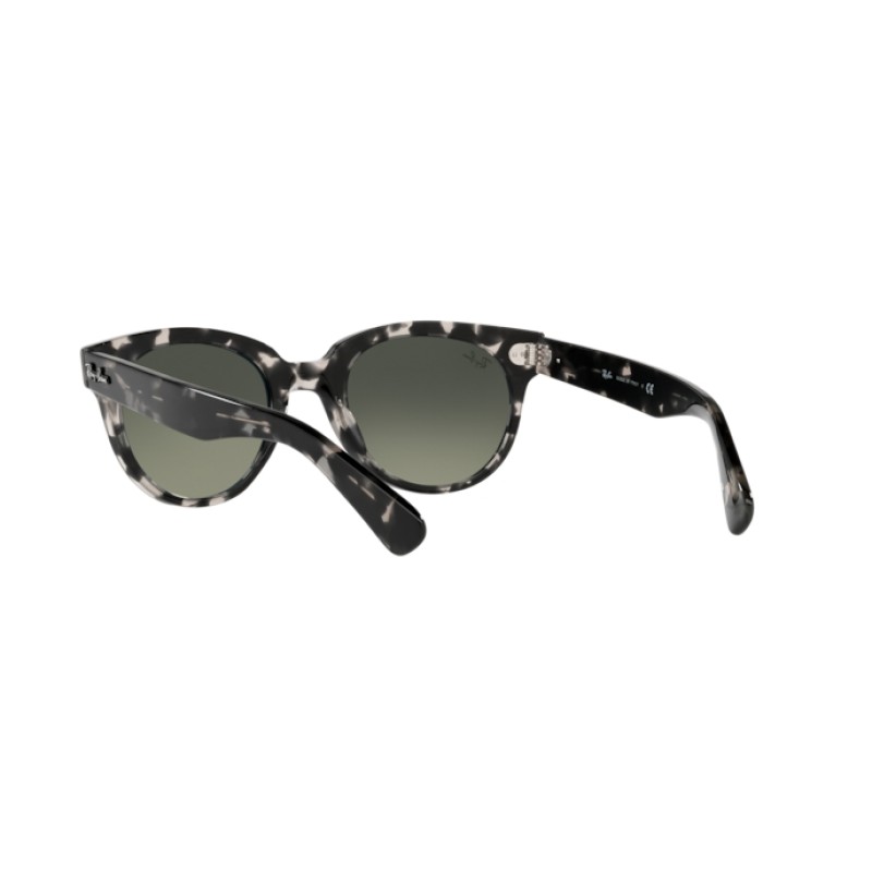Ray-Ban RB 2199 Orion 133371 Havane Grise