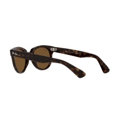Ray-Ban RB 2199 Orion 902/57 Tortue