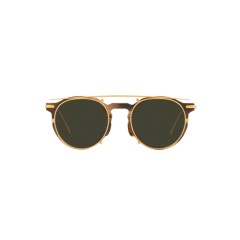 Oliver Peoples OV 5460T G. Ponti-1 1713 Tortue Géante