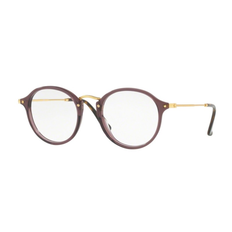Ray-Ban RX 2447V Round 8032 Brun Opale